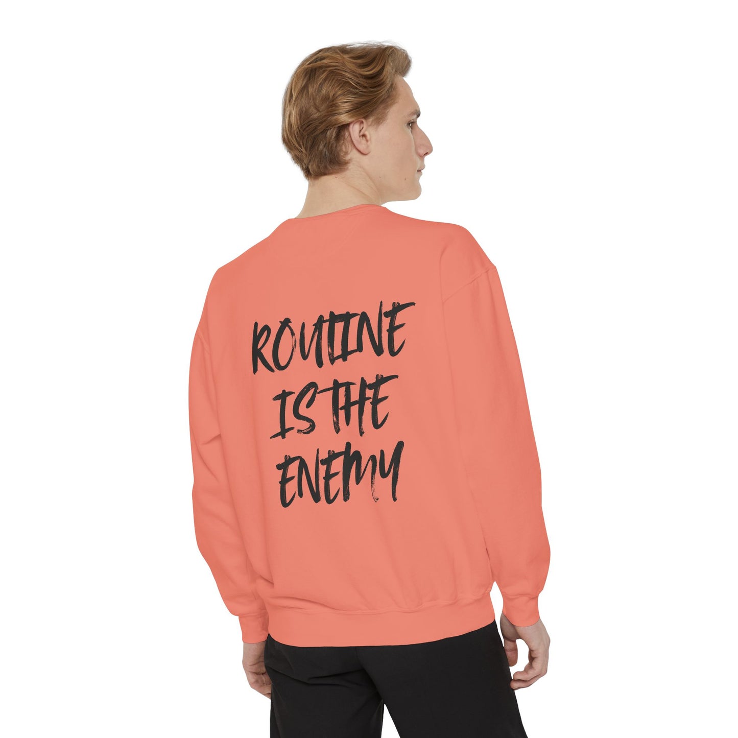 Routine Is The Enemy Unisex Sweatshirt