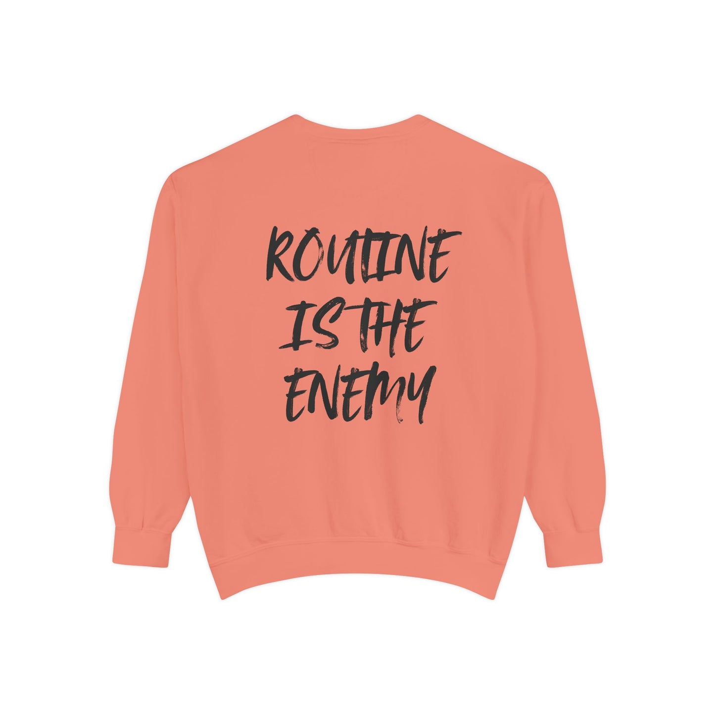 Routine Is The Enemy Unisex Sweatshirt