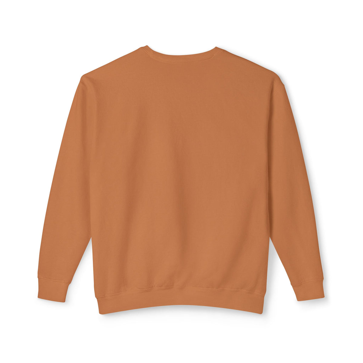 Willing Crewneck Sweatshirt — Subtle Vintage Text Lightweight Pullover